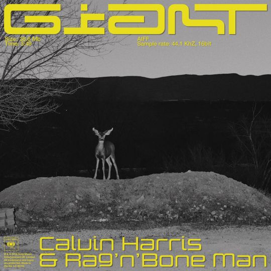 Calvin Harris ft. Rag'n'Bone Man